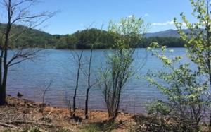 386 LOWER BELL CREEK RD