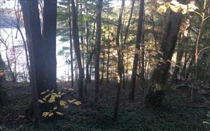 LOT 4 ORCHARD DRIVE