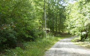 LT 49 PENLAND OAKS