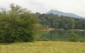LT 1 MCINTOSH COVE