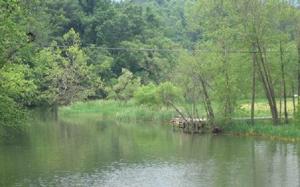 LOT D CREEK COVE