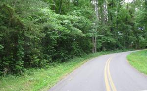 #38 HY TOP ROAD