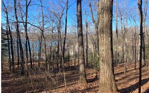 1155 FROG POND RD