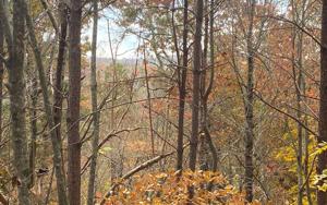 LT 39 LAKESIDE TRAIL