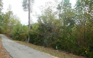 21 CHESTNUT OAKS