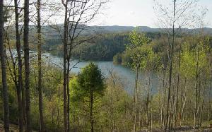 WILDERNESS LAKE DRIV