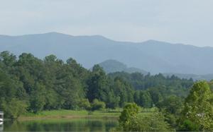 #11 BELL CREEK COVE