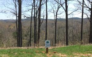LT260 CARTERS VIEW DR