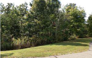HARRIS CREEK DRIVE