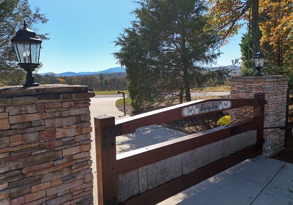 Image 3: Electronic Gate