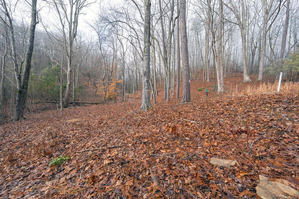 Image 2: View of Lot