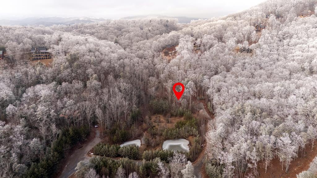 Image 4: Aerial View