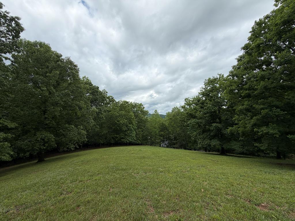 Image 1: Main View