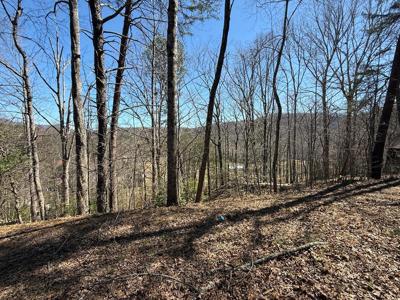 1035 Sky Hawk Mountain Drive