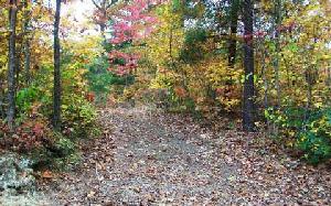 LOT10 WILLOW TREE LANE