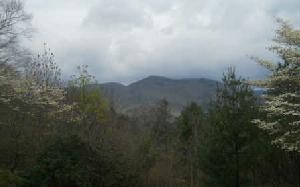 OWL CREEK