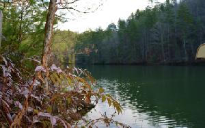 0 WILDERNESS LAKE CIR