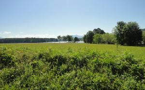 LAKEVIEW DRIVE