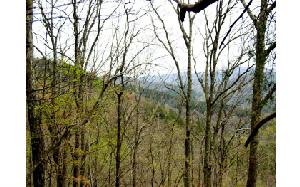 LOT 1 KIMSEY MOUNTAIN ROAD