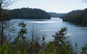 LT 36 LAKE APALACHIA ACRES