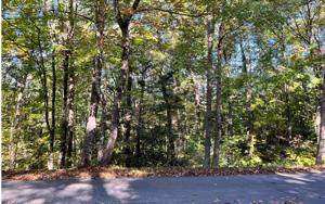 00 BIG ROCK TRAIL