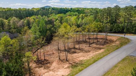 Lot 41 Sandy Lake Lane