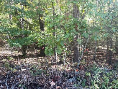 Lot 42 Hiawassee Lake Est