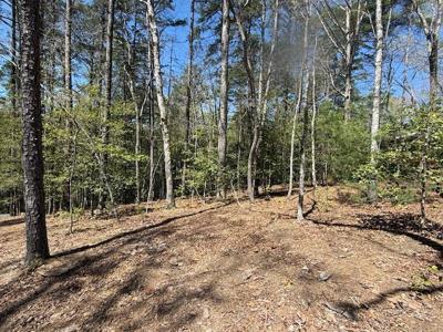 Lot 2 Lynae Lane