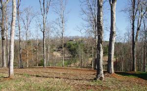LOT 9 MCCLURE ROAD