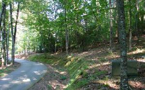 SHADY FALLS ROAD