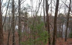LT 14 PINECREST DRIVE