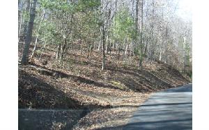LOT 3 SLEEPY HOLLOW DR.