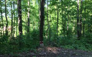 LT 15 WOODS OF HUNTER
