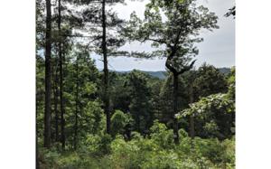 LOT 4 HIGHLAND ROAD