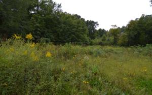 LOT16 CHATUGE VILLAGE CIR