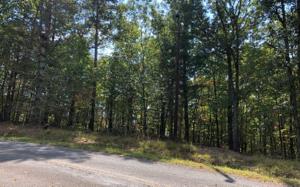 LT 20 LAKE COVE DRIVE