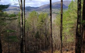 00 CHOCTAW RIDGE TRL