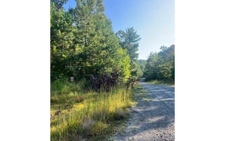 LT 50 White Pine Ridge