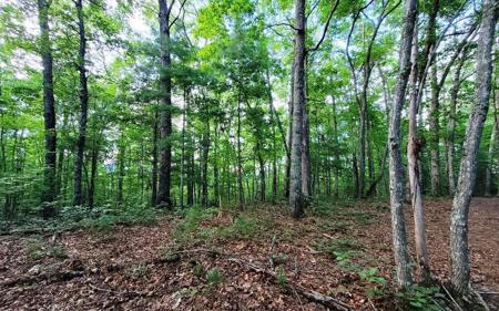 Lot 21 Rye Field Road