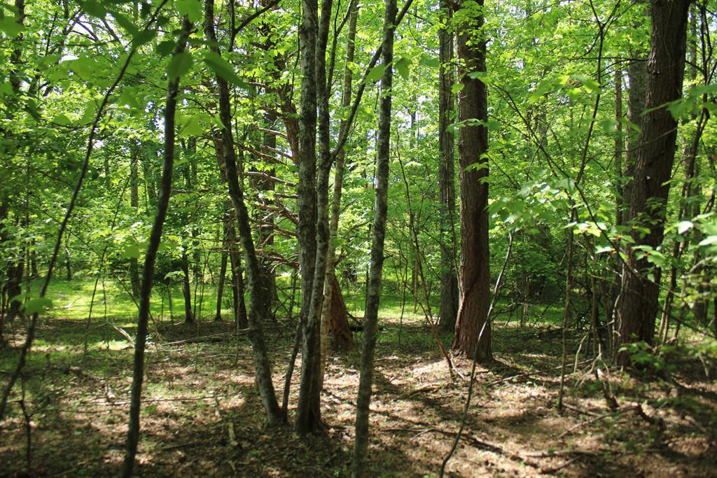 Image 1: Main View