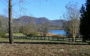LT 17 PHILLIPS COVE