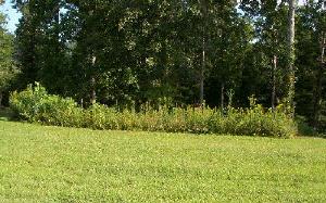 MCCLURE ROAD