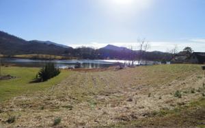 LT 3 MCINTOSH COVE