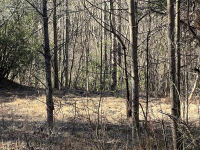 Lot 59C Mountain Harbour Lot