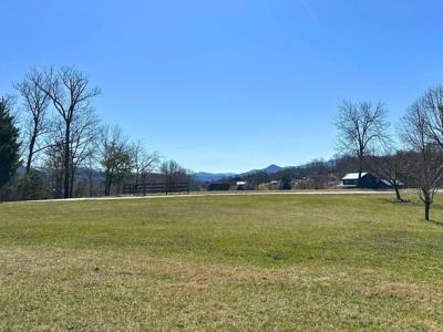 Lot 16 Meadows At Chatuge