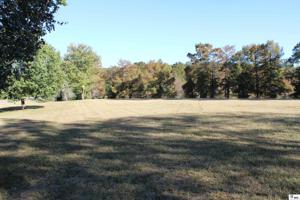 00 BAUGHMAN LAKE DRIVE