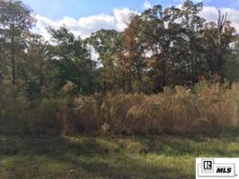 000 PUCKETT LAKE ROAD
