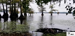0 SPRING LAKE ROAD