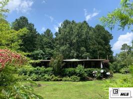 221 HURRICANE CREEK ROAD