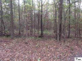 Tract 1 SCOTTS HIDEAWAY ROAD
